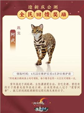 天龙八部私服骨灰